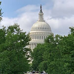 La Brea Bakery Express